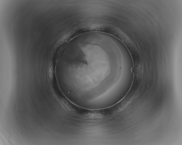 X0000113110644200909041247