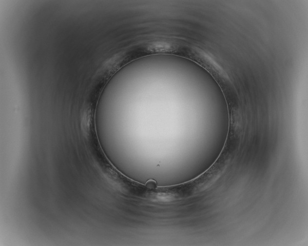 X0000113110645200909041247