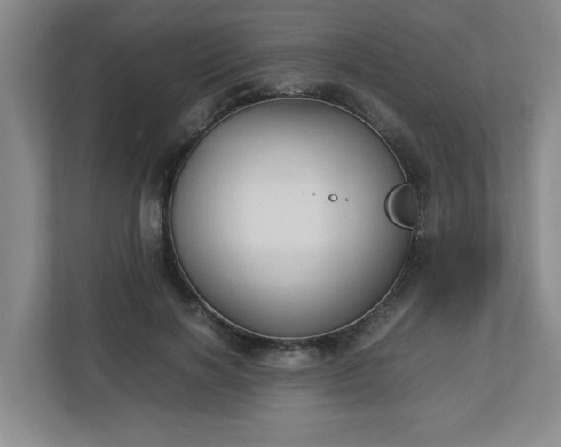 X0000113110646200909041247