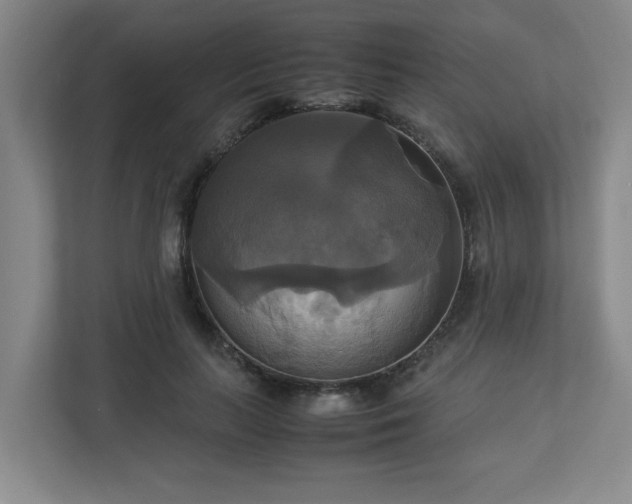 X0000113110647200909041247