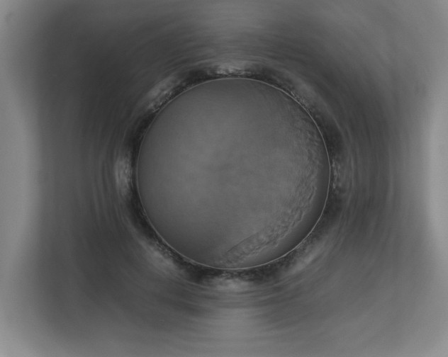 X0000113110648200909041247