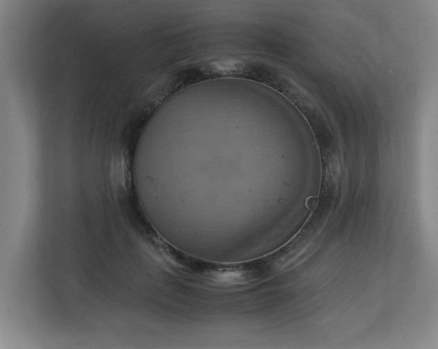X0000113110651200909041247
