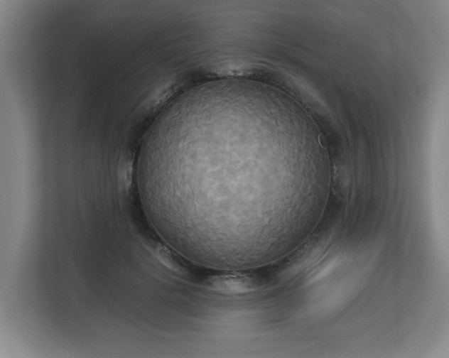 X0000113110652200909041247