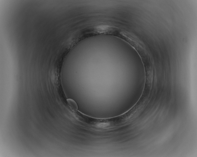 X0000113110653200909041247