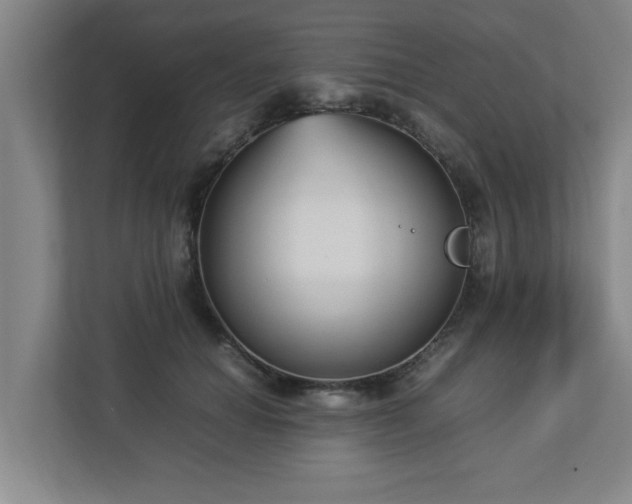 X0000113110654200909041247