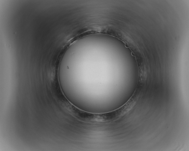 X0000113110656200909041247