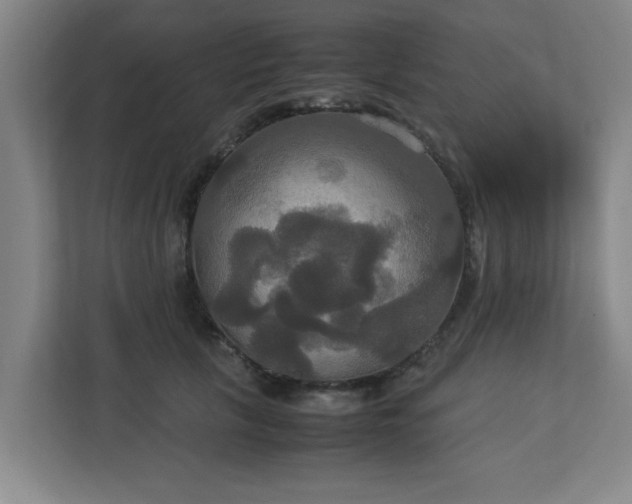 X0000113110657200909041247
