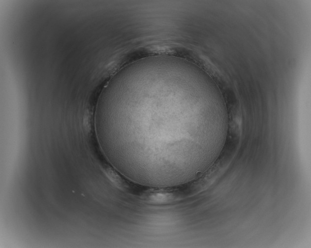X0000113110658200909041247