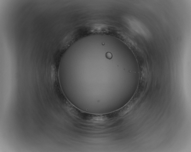 X0000113110659200909041247