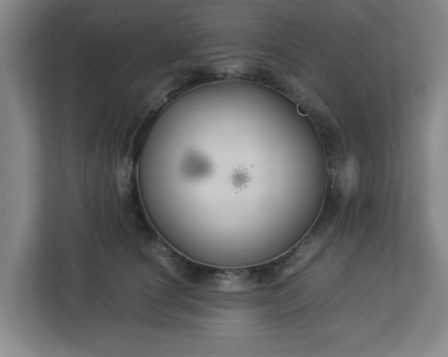 X0000113110660200909041247