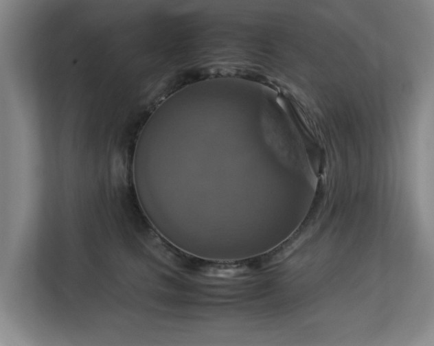 X0000113110661200909041247