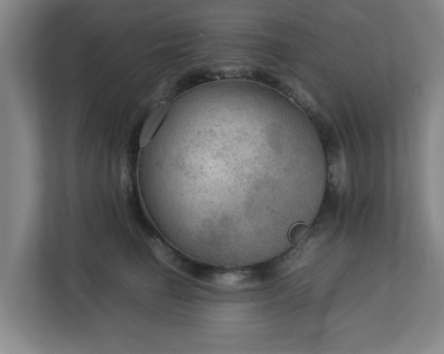X0000113110662200909041247