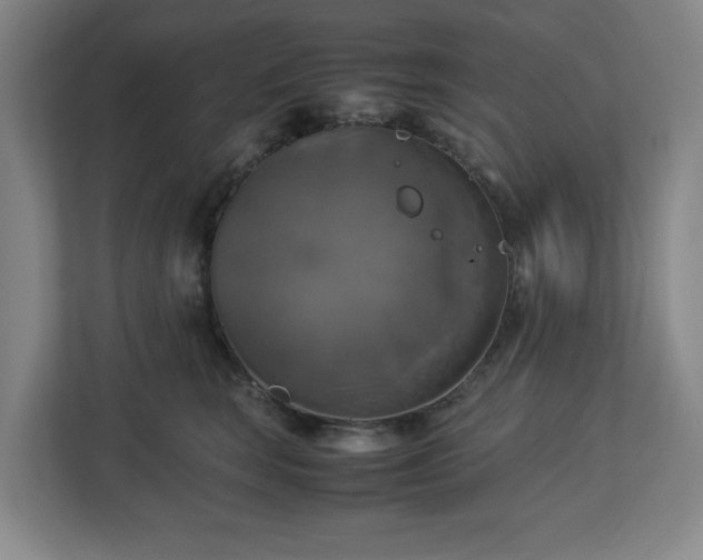X0000113110663200909041247