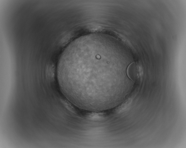 X0000113110664200909041247