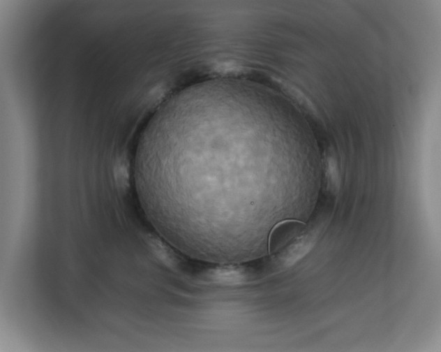 X0000113110668200909041247