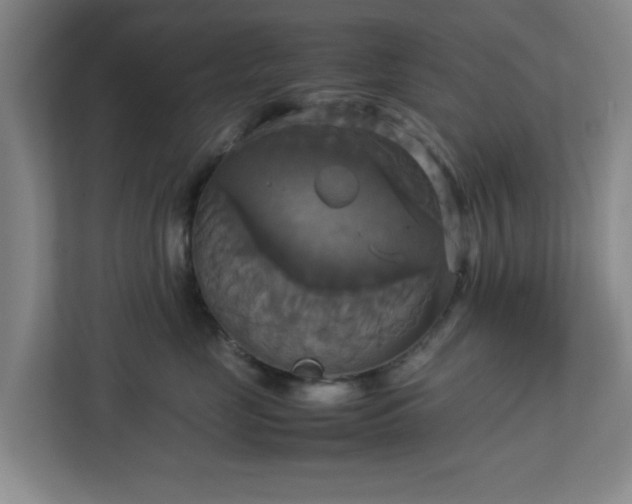 X0000113110669200909041247
