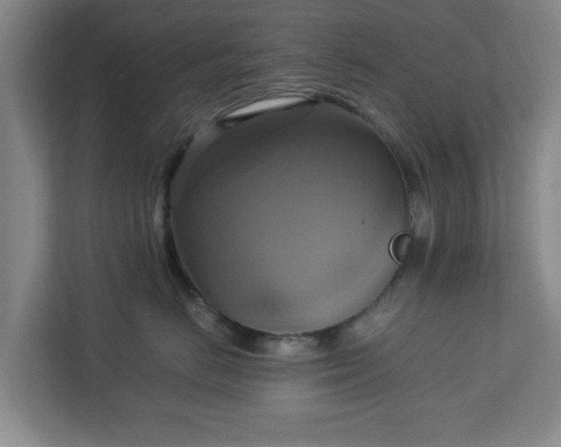 X0000113110670200909041247