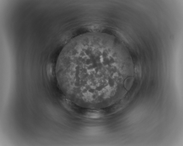 X0000113110671200909041247