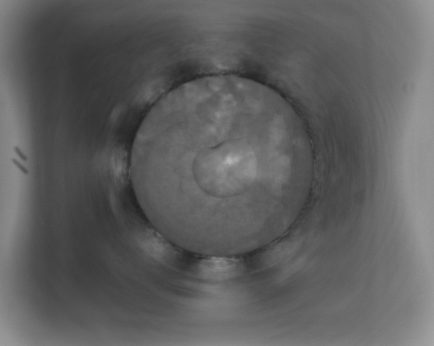 X0000113110672200909041247
