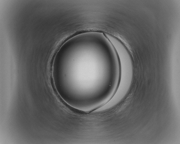 X0000113110673200909041246