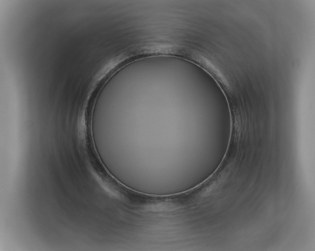 X0000113110674200909041246