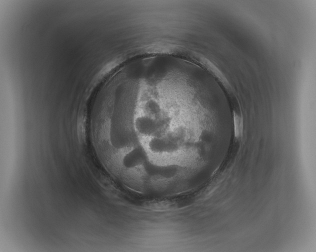 X0000113110675200909041246
