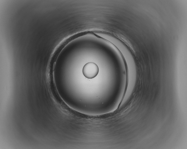 X0000113110676200909041246