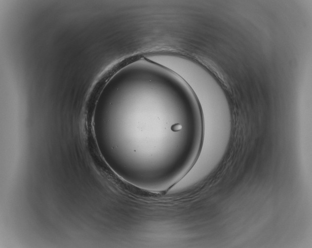 X0000113110680200909041246