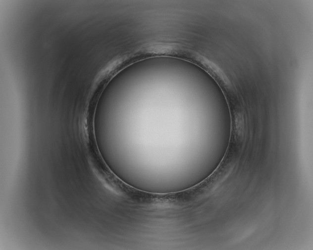 X0000113110682200909041246