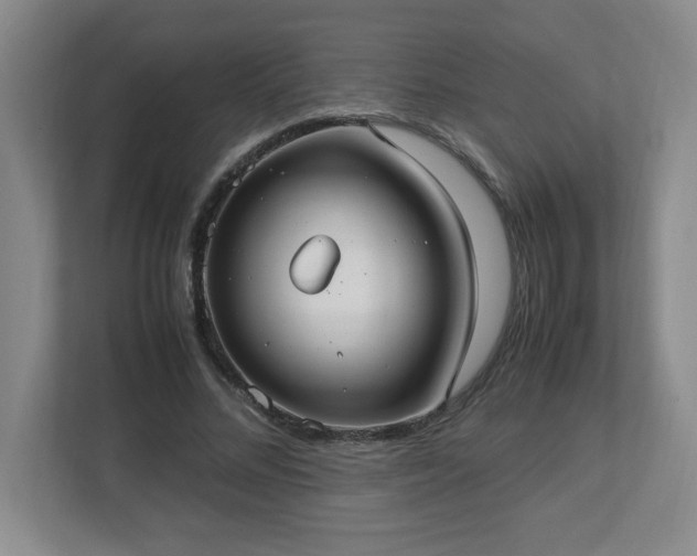 X0000113110684200909041246