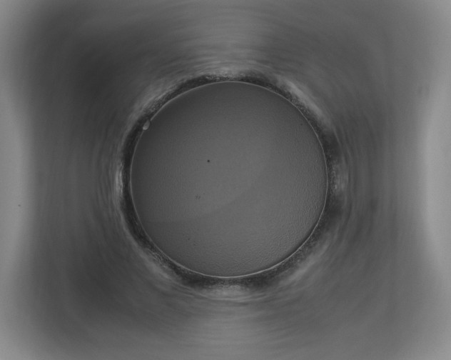 X0000113110685200909041246