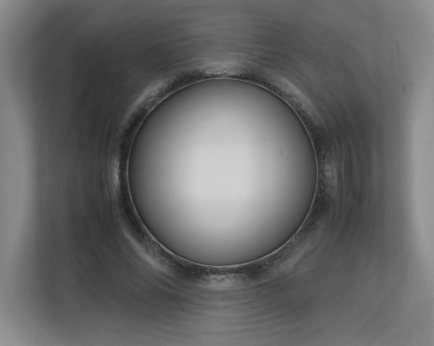 X0000113110686200909041246