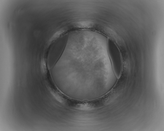 X0000113110688200909041246