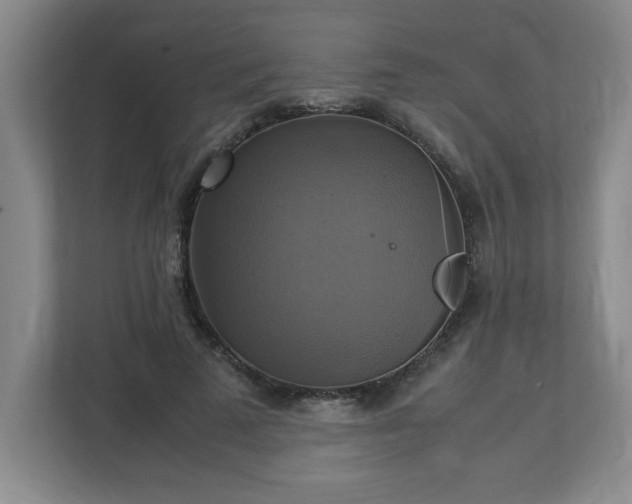 X0000113110689200909041246