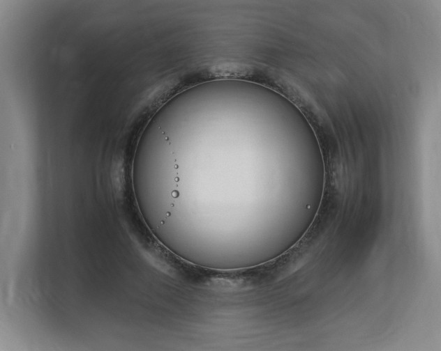 X0000113110690200909041246