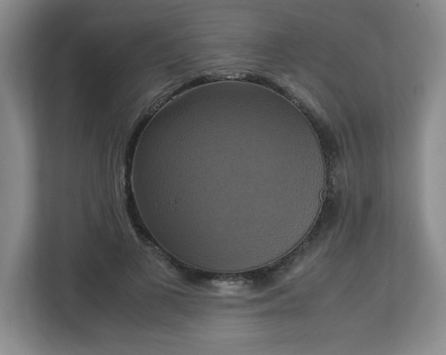 X0000113110693200909041246