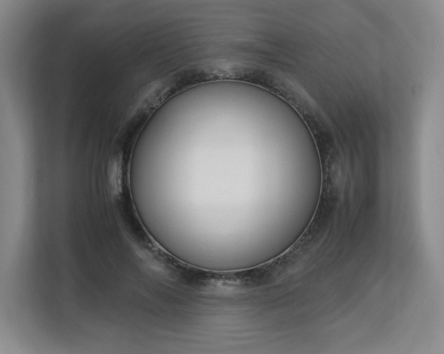 X0000113110694200909041246