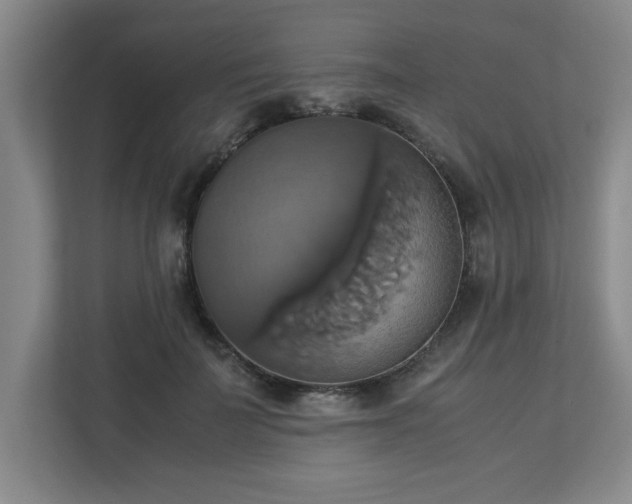X0000113110699200909041246