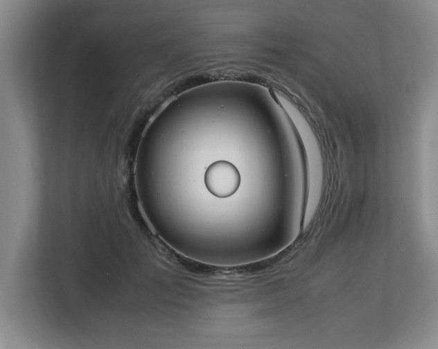 X0000113110701200909041246
