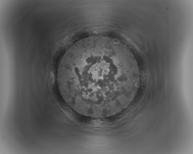 X0000113110703200909041246