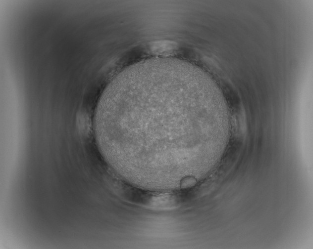X0000113110705200909041246