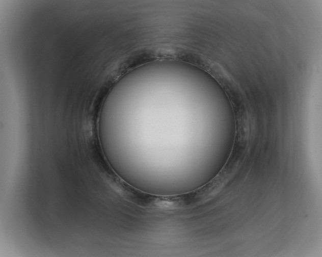 X0000113110706200909041246