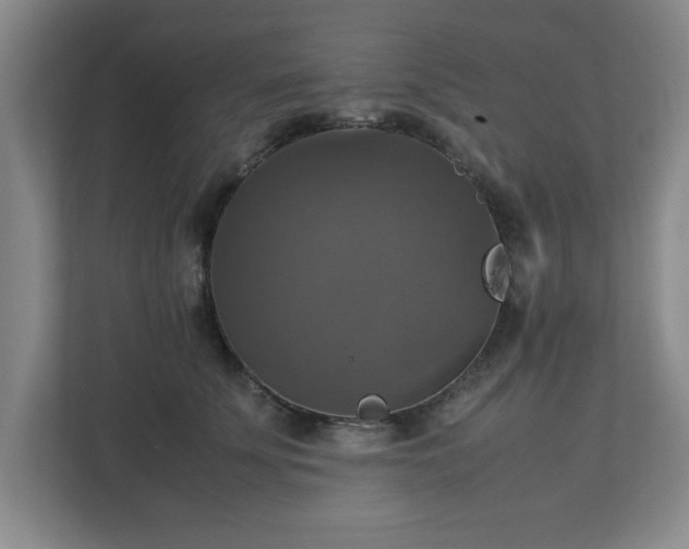 X0000113110707200909041246