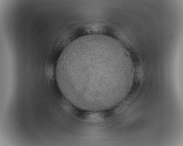 X0000113110709200909041246