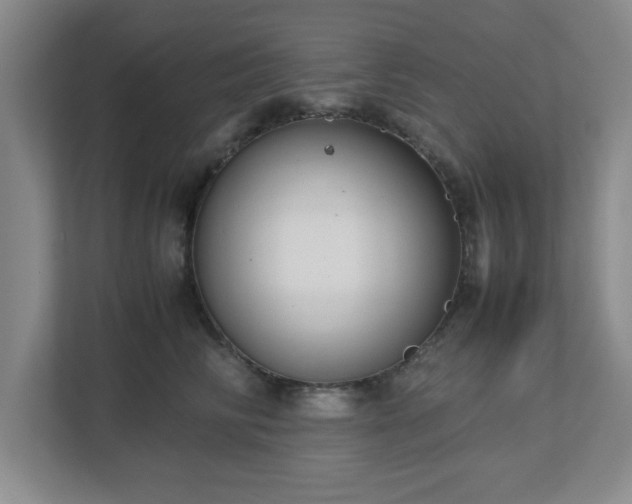 X0000113110710200909041246