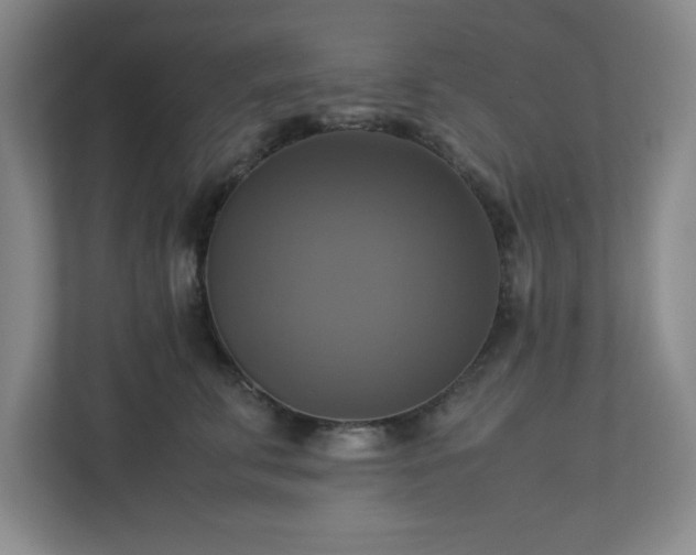 X0000113110711200909041246