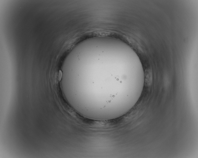 X0000113110713200909041246