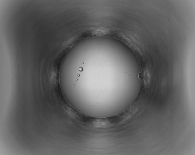 X0000113110714200909041246