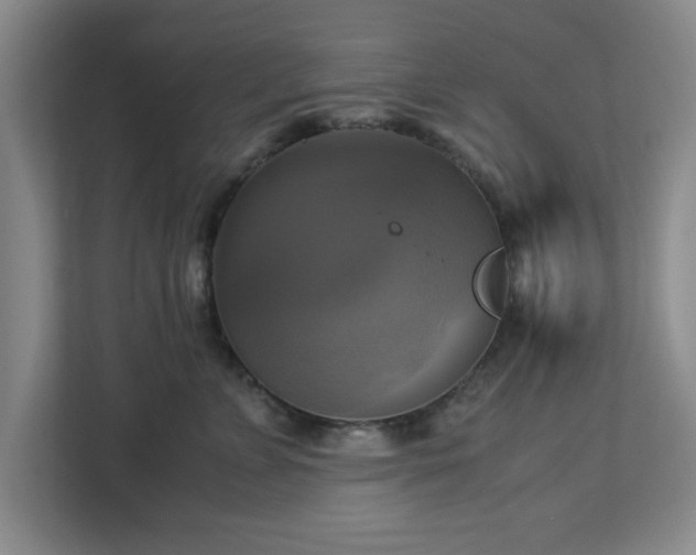 X0000113110715200909041246