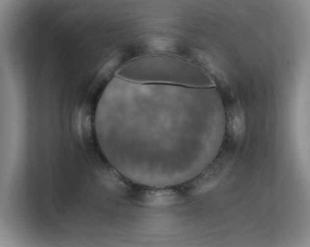 X0000113110716200909041246